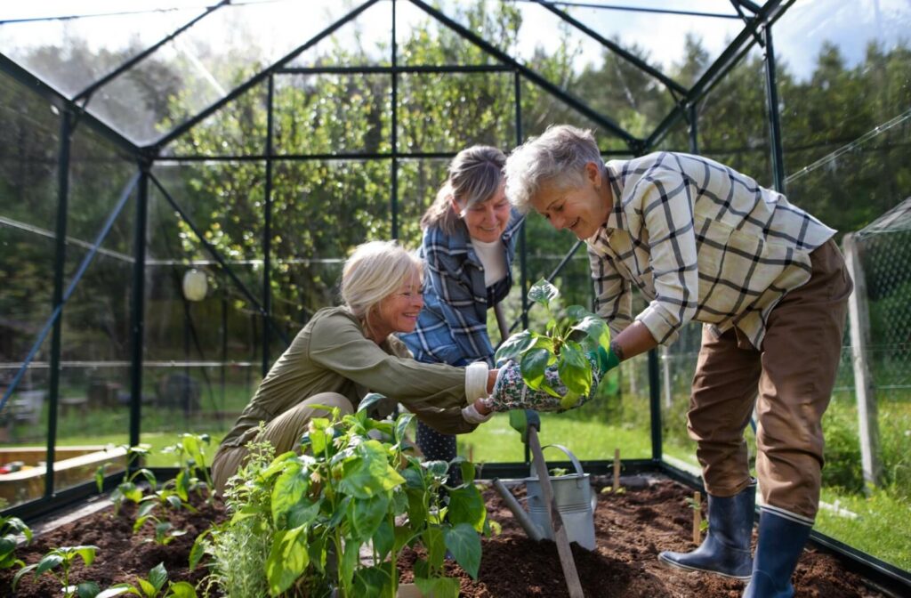 A group of older adult women tending to the community garden.